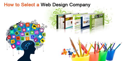 Debulp.com Website Review: Know This Before Buying.